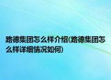 路德集团怎么样介绍(路德集团怎么样详细情况如何)