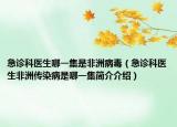 急诊科医生哪一集是非洲病毒（急诊科医生非洲传染病是哪一集简介介绍）