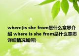 where(is she from是什么意思介绍 where is she from是什么意思详细情况如何)