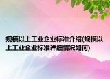 规模以上工业企业标准介绍(规模以上工业企业标准详细情况如何)