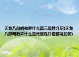 天龙八部明教弄什么真元属性介绍(天龙八部明教弄什么真元属性详细情况如何)