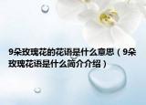 9朵玫瑰花的花语是什么意思（9朵玫瑰花语是什么简介介绍）