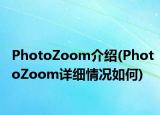 PhotoZoom介绍(PhotoZoom详细情况如何)