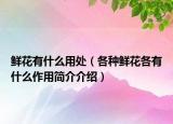 鲜花有什么用处（各种鲜花各有什么作用简介介绍）