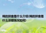 绵的拼音是什么介绍(绵的拼音是什么详细情况如何)