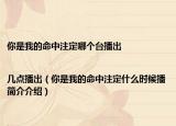 你是我的命中注定哪个台播出|几点播出（你是我的命中注定什么时候播简介介绍）