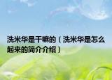 洗米华是干嘛的（洗米华是怎么起来的简介介绍）