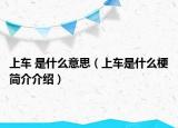 上车 是什么意思（上车是什么梗简介介绍）