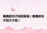 唯美的句子简短英语（唯美的句子简介介绍）