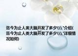 迄今为止人类大脑开发了多少\
