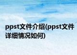 ppst文件介绍(ppst文件详细情况如何)