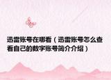 迅雷账号在哪看（迅雷账号怎么查看自己的数字账号简介介绍）