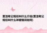 董洁老公现任叫什么介绍(董洁老公现任叫什么详细情况如何)