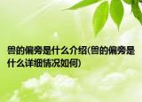 兽的偏旁是什么介绍(兽的偏旁是什么详细情况如何)