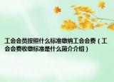 工会会员按照什么标准缴纳工会会费（工会会费收缴标准是什么简介介绍）