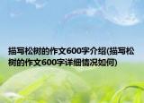 描写松树的作文600字介绍(描写松树的作文600字详细情况如何)