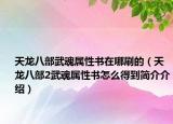 天龙八部武魂属性书在哪刷的（天龙八部2武魂属性书怎么得到简介介绍）