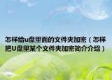 怎样给u盘里面的文件夹加密（怎样把U盘里某个文件夹加密简介介绍）