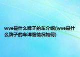 wve是什么牌子的车介绍(wve是什么牌子的车详细情况如何)