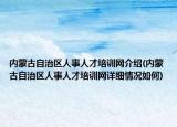 内蒙古自治区人事人才培训网介绍(内蒙古自治区人事人才培训网详细情况如何)