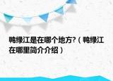 鸭绿江是在哪个地方?（鸭绿江在哪里简介介绍）
