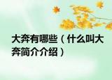 大奔有哪些（什么叫大奔简介介绍）