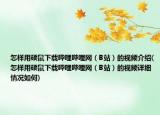 怎样用硕鼠下载哔哩哔哩网（B站）的视频介绍(怎样用硕鼠下载哔哩哔哩网（B站）的视频详细情况如何)