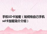手机SD卡加密（如何给自己手机sd卡加密简介介绍）