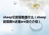sheep它的复数是什么（sheep的复数is还是are简介介绍）
