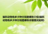 猫科动物有多少种分别是哪些介绍(猫科动物有多少种分别是哪些详细情况如何)