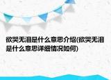 欲哭无泪是什么意思介绍(欲哭无泪是什么意思详细情况如何)