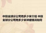 中投全球分公司有多少家介绍 中投全球分公司有多少家详细情况如何