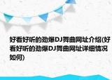 好看好听的劲爆DJ舞曲网址介绍(好看好听的劲爆DJ舞曲网址详细情况如何)