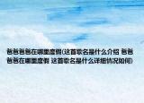 爸爸爸爸在哪里度假(这首歌名是什么介绍 爸爸爸爸在哪里度假 这首歌名是什么详细情况如何)
