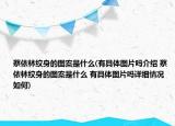 蔡依林纹身的图案是什么(有具体图片吗介绍 蔡依林纹身的图案是什么 有具体图片吗详细情况如何)