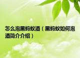 怎么泡黑蚂蚁酒（黑蚂蚁如何泡酒简介介绍）