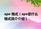 ape 格式（ape是什么格式简介介绍）