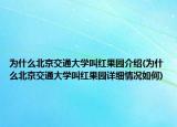 为什么北京交通大学叫红果园介绍(为什么北京交通大学叫红果园详细情况如何)
