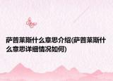 萨普莱斯什么意思介绍(萨普莱斯什么意思详细情况如何)