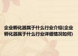 企业孵化器属于什么行业介绍(企业孵化器属于什么行业详细情况如何)