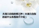 太湖三白指的哪三种（太湖三白指的是什么东西简介介绍）