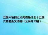 五颜六色的近义词语是什么（五颜六色的近义词是什么简介介绍）