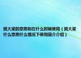 挑大梁的意思和在什么时候使用（挑大梁什么意思什么情况下使用简介介绍）