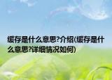 缓存是什么意思?介绍(缓存是什么意思?详细情况如何)