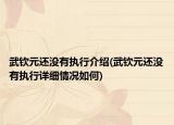 武钦元还没有执行介绍(武钦元还没有执行详细情况如何)