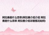 阿拉善是什么意思(阿拉善介绍介绍 阿拉善是什么意思 阿拉善介绍详细情况如何)