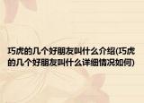 巧虎的几个好朋友叫什么介绍(巧虎的几个好朋友叫什么详细情况如何)