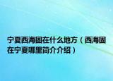 宁夏西海固在什么地方（西海固在宁夏哪里简介介绍）