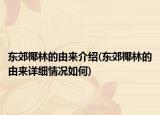 东郊椰林的由来介绍(东郊椰林的由来详细情况如何)