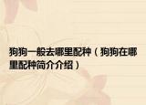 狗狗一般去哪里配种（狗狗在哪里配种简介介绍）